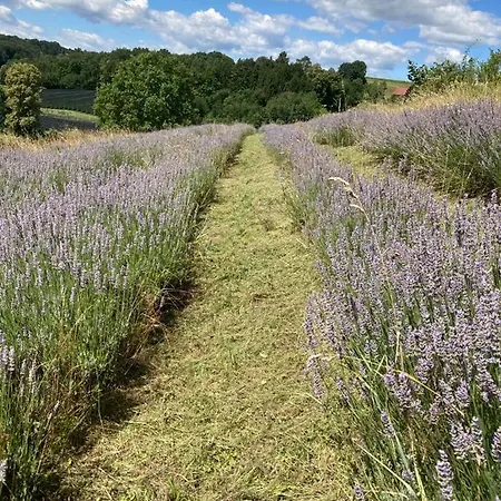 Appartement Herzhof Lampert