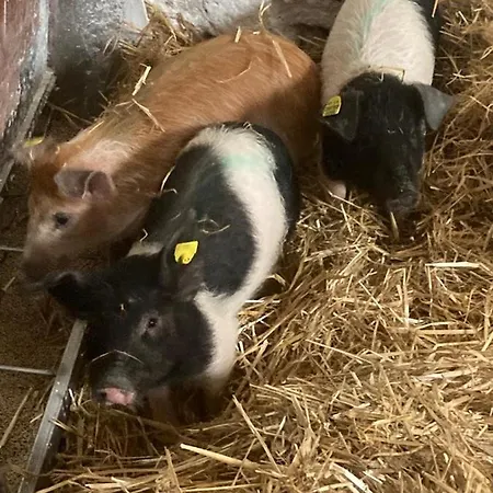 Herzhof Lampert * Riegersburg