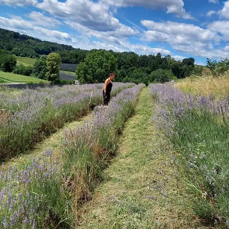 Herzhof Lampert Appartement *