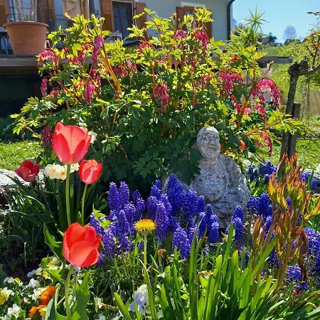 Herzhof Lampert Appartement Riegersburg