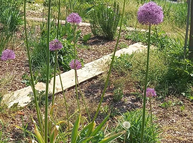 شقة Herzhof Lampert *