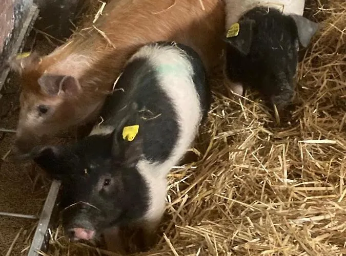 Herzhof Lampert * Riegersburg