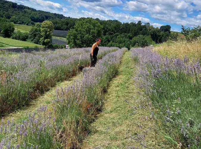 Herzhof Lampert شقة *